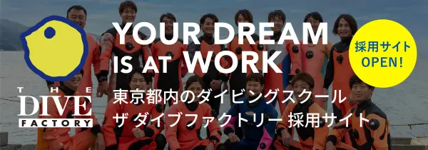 ダイビングスクール 東京 ダイビングライセンスの取得は東京のザ ダイブファクトリー ダイビングスクール 東京 ダイビングライセンスの取得は東京のザ ダイブファクトリー